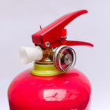 Fire Extinguisher 1kg Dcp