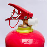 Fire Extinguisher 1kg Dcp
