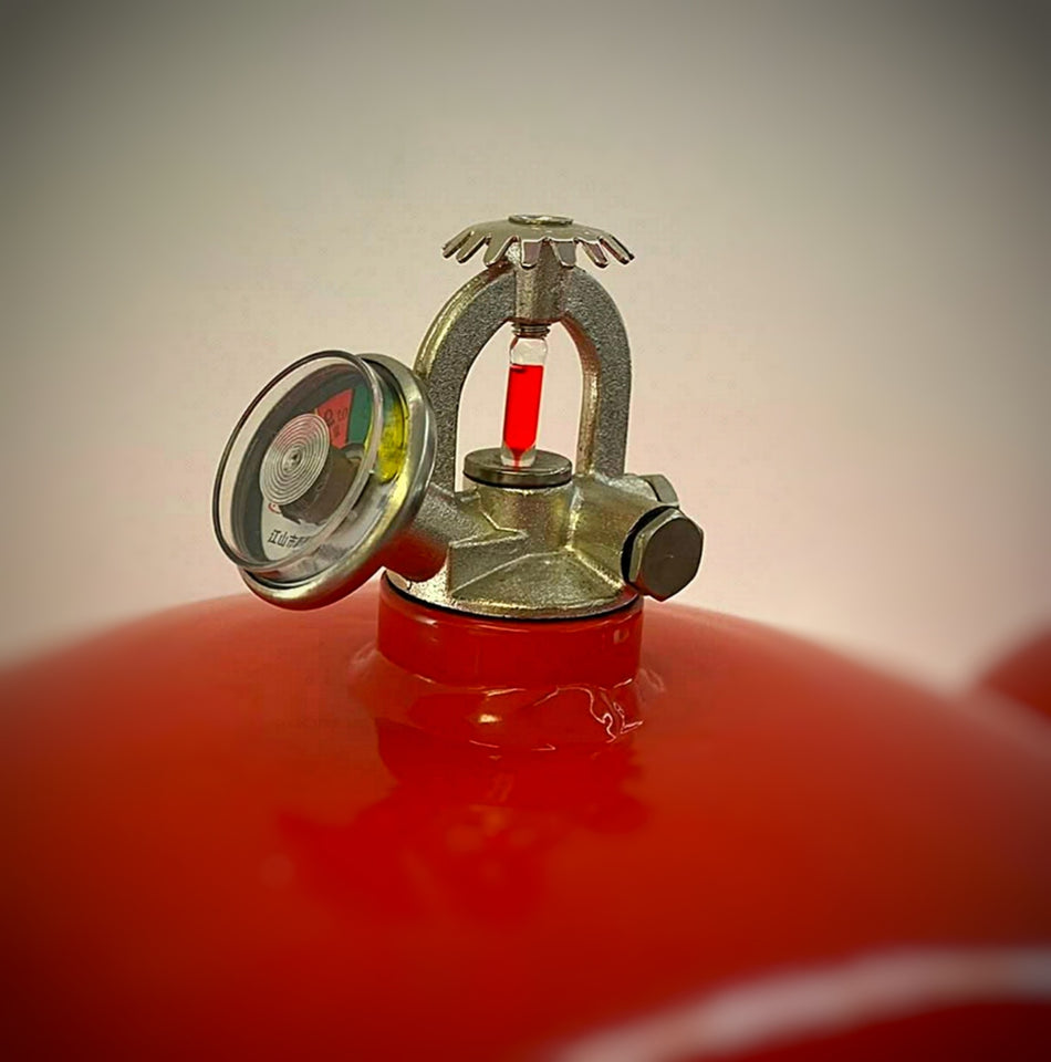 Automatic fire extinguisher 4kg dcp