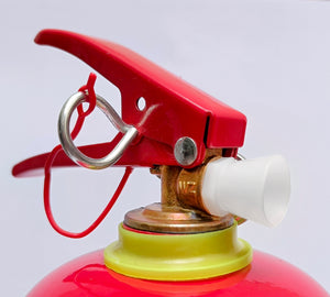 Fire Extinguisher 1kg Dcp (Powder)