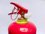 Fire Extinguisher 2kg Dcp (Powder)