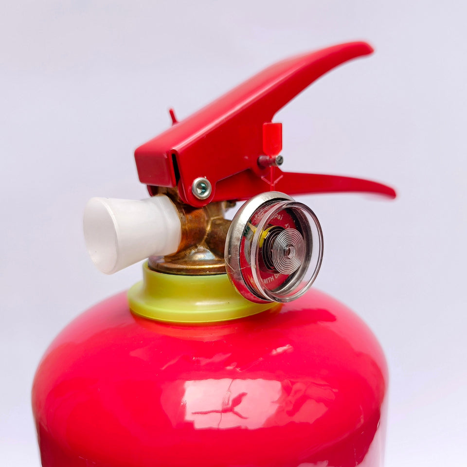 Fire Extinguisher 1kg Dcp