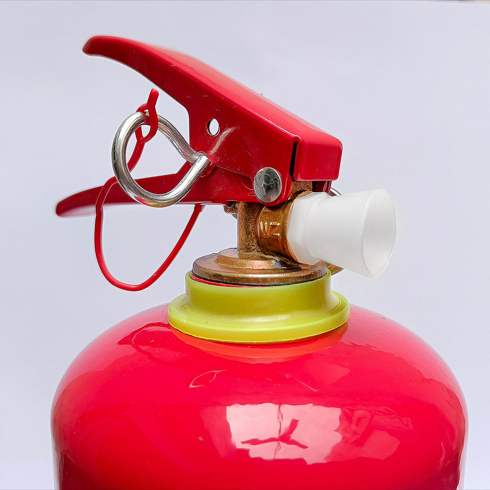 Fire Extinguisher 1kg Dcp